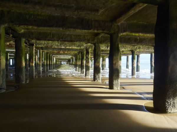 Concrete Pier Repair in Portland
